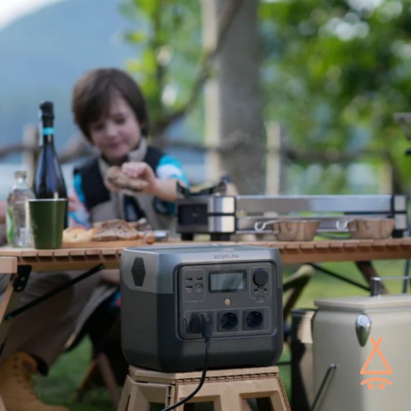 batterie nomade ecoflow